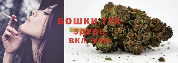 прущие грибы Балабаново