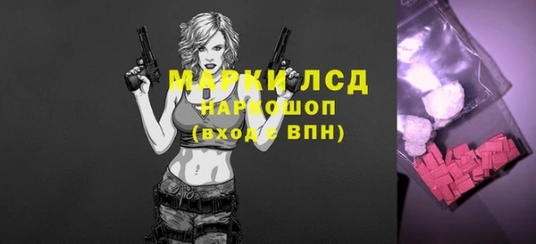 прущие грибы Балабаново