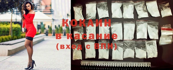 прущие грибы Балабаново
