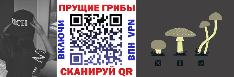 Псилоцибиновые грибы GOLDEN TEACHER  Темрюк 