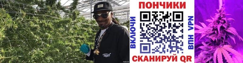 Канабис AK-47  даркнет телеграм  Темрюк 